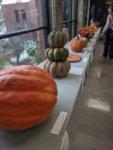 table full of pumpkins